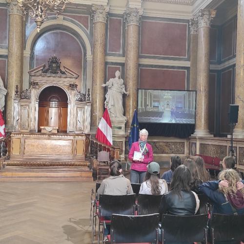 Wienwoche 6bm
