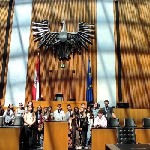 Wienwoche 6bm